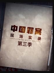 罪案现场实录第三季海报