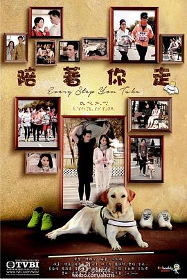 陪着你走2015海报