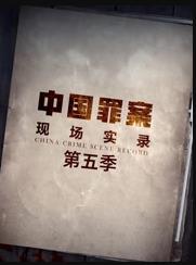 罪案现场实录第五季海报