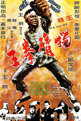 独臂拳王1972海报