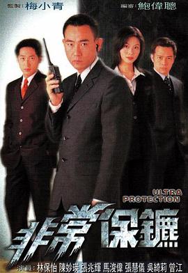 非常保镖国语1999海报