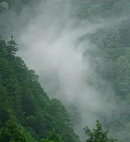 日本印象派水光和鸣海报