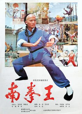 南拳王粤语海报