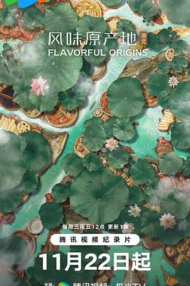 风味原产地湖北海报