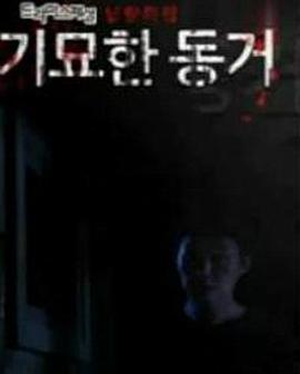 奇妙的同居海报