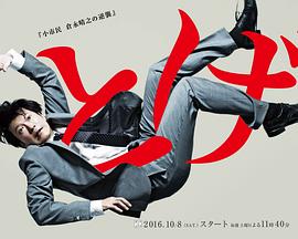 荆棘 小市民仓永晴之的逆袭海报