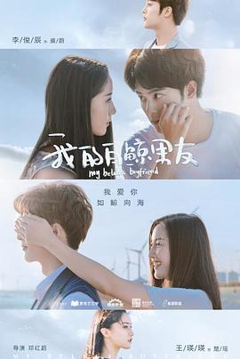 我的白鲸男友海报