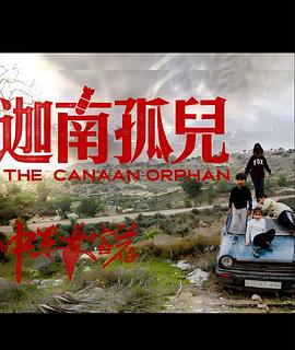 中东大宝荐1：迦南孤儿海报