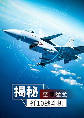空中猛龙海报