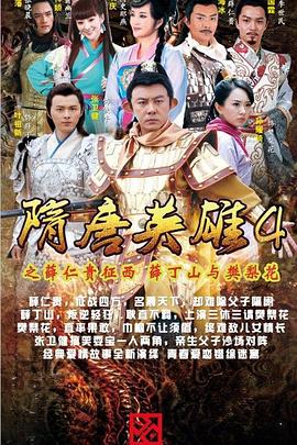 隋唐英雄4DVD版海报