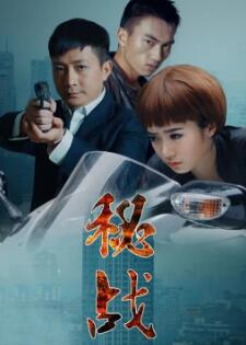 秘战2015海报