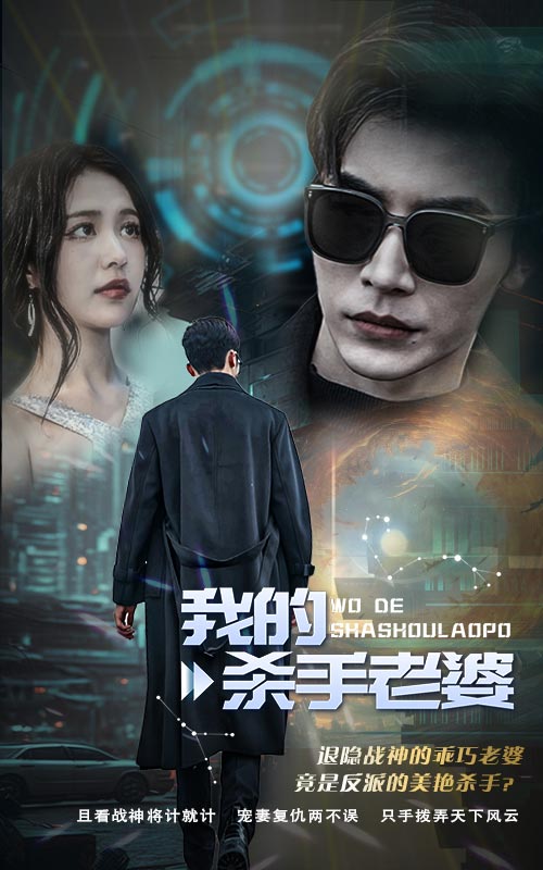 我的杀手老婆海报