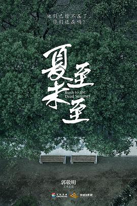 夏至未至2017海报