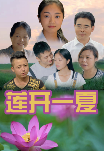 莲开一夏海报