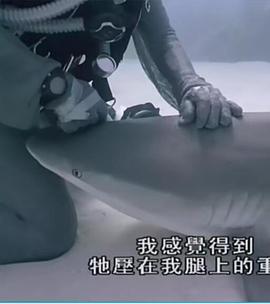 重访蓝色星球海报