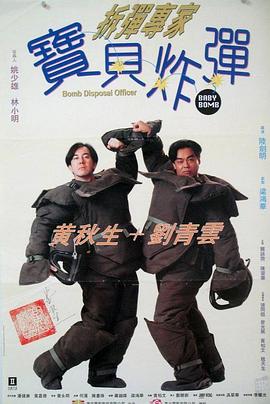 拆弹专家宝贝炸弹海报