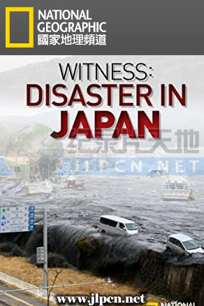 直击311日本大浩劫海报