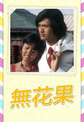 无花果1976海报