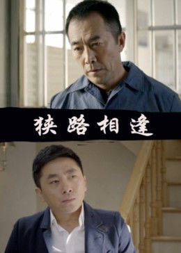 狭路相逢2014海报
