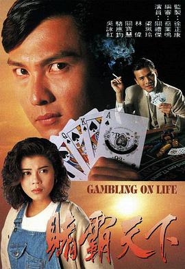 赌霸天下国语1993海报
