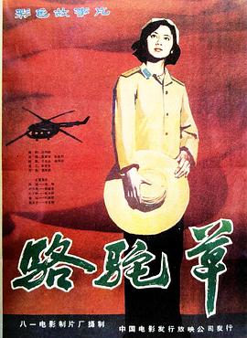骆驼草海报