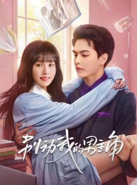 别动我的男人海报