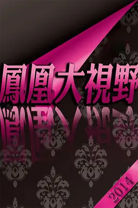折戟沉沙铁未销：913事件追踪海报