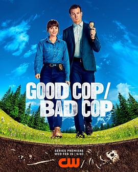 好警察/坏警察第一季海报