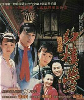 红楼梦情欲录海报