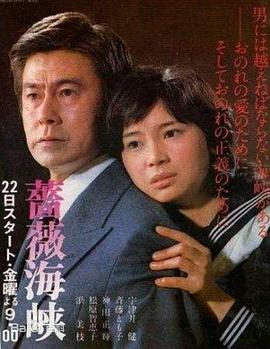 蔷薇海峡国语海报