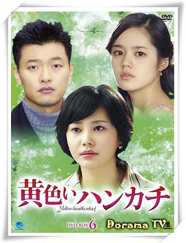 黄手帕国语海报