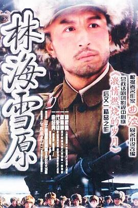 林海雪原2004海报