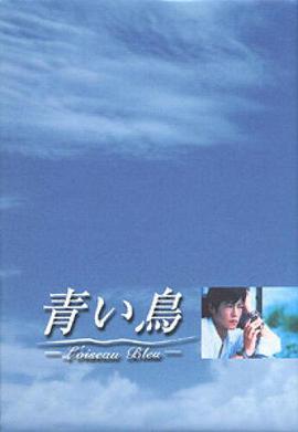 青鸟海报