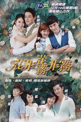 花非花雾非雾第二部海报