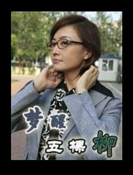 梦醒五棵柳海报