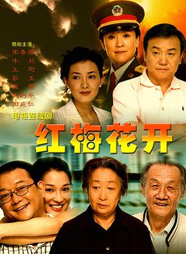 红梅花开2007海报