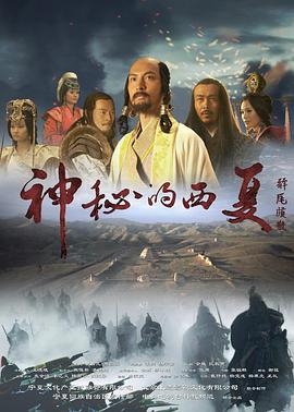 神秘的西夏海报