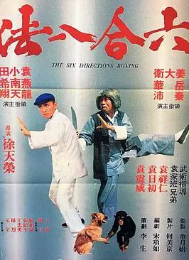 六合八法海报