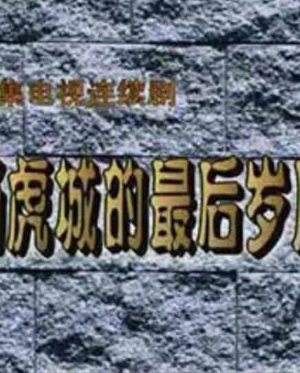 杨虎城的最后岁月海报