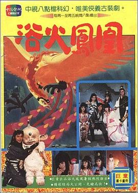 浴火凤凰1990海报