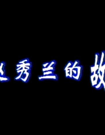 赵秀兰的故事海报