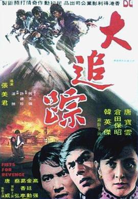 大追踪海报
