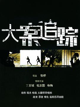 大案追踪海报