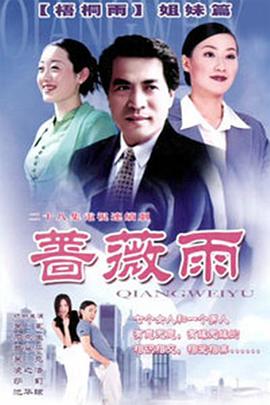 蔷薇雨海报