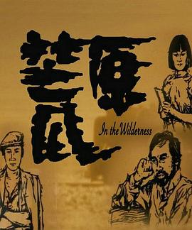 荒原1984海报