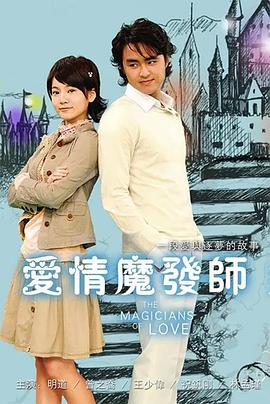 爱情魔发师2006海报