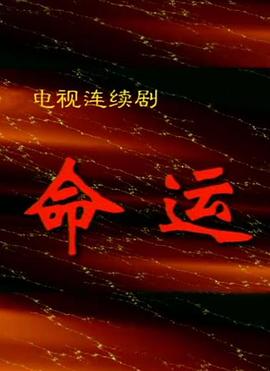 命运1999海报