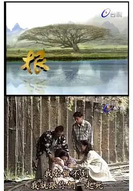 根海报