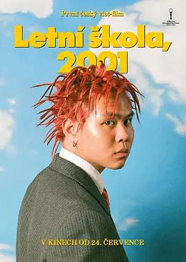 2001年的夏天海报