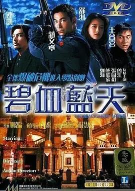 碧血蓝天海报